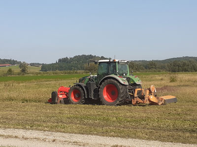 Mulchen